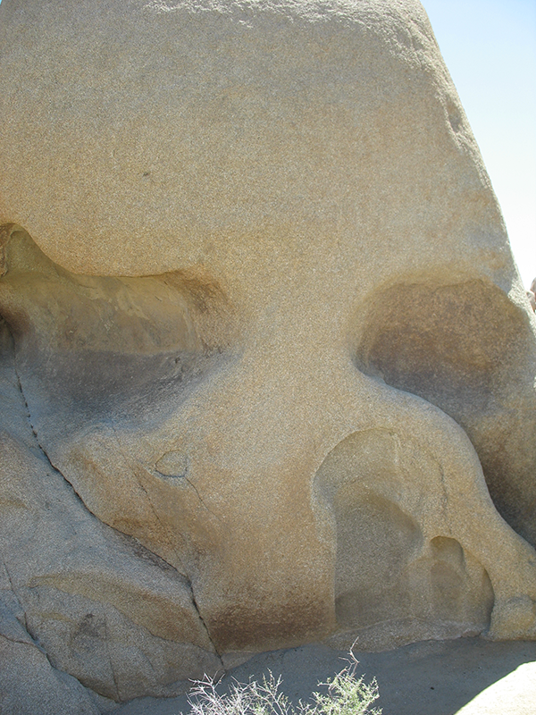 Skull Rock at JTNP
